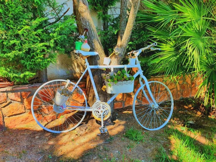 Platanos Estate Villa Akráta Ngoại thất bức ảnh